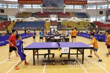 Hơn 600 vận động viên tham gia Ngày hội bóng bàn các câu lạc bộ Phú Thọ mở rộng