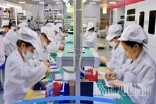 “Green Channel” Accelerates Investment