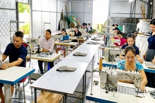 Hỗ trợ đào tạo nghề, trang bị kỹ năng số cho nông dân