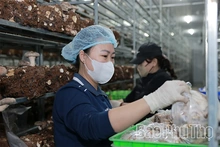 Động lực lan tỏa và khát vọng vươn xa