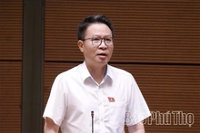 Đại biểu Quốc hội tỉnh thảo luận về&nbsp;định hướng chính sách sửa đổi Luật Kinh doanh bất động sản