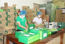 Phu Tho Promotes Digital Transformation in E-Commerce