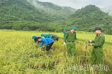 Quyết Thắng làm theo Bác