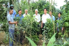 Từ sức mạnh cộng đồng đến những đổi thay ở Hợp Lý