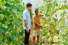 Động lực phát triển nông nghiệp bền vững