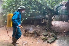 Đông Thành chủ động phòng, chống dịch bệnh truyền nhiễm
