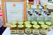 Vị cay từ núi Rẽ Vơng
