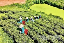 Đường lớn cho kinh tế tư nhân - Kỳ 2: Khơi dòng nguồn lực