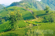 Phu Tho Integrates OCOP Products into the Tourism Value Chain