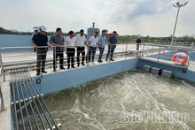 Bảo vệ môi trường cho công nghiệp xanh