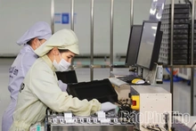 Phú Thọ hướng tới trung tâm tiếp nhận FDI thế hệ mới
