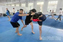 Huấn luyện thể thao thành tích cao