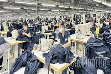 Thi đua - nền tảng tạo sức bật cho sản xuất