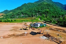 Ổn định dân cư vùng bị ảnh hưởng bởi thiên tai