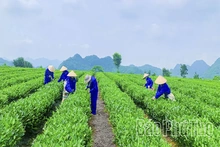Mở rộng không gian thương mại trong kỷ nguyên số