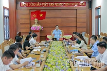 Đoàn đại biểu Quốc hội tỉnh giám sát việc thực hiện chính sách, pháp luật trong quản lý nhà nước về đô thị