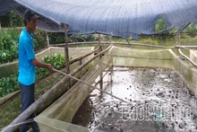 Giai đoạn 2026-2030, Phú Thọ được hỗ trợ hơn 4.651 tỷ đồng thực hiện các chương trình mục tiêu quốc gia