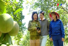 Đưa nông sản vươn xa trên môi trường số