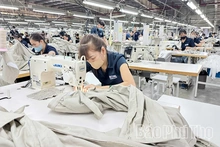 Phú Thọ giải quyết việc làm cho hơn 56 nghìn lao động