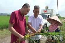Yên Thủy lấy thi đua yêu nước làm động lực phát triển
