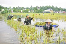 Dân vận khéo vun đắp nghĩa tình quân - dân