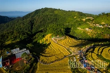 Bản Mừng Cao Phong - sắc màu du lịch vùng cao