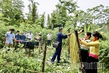 Đẩy mạnh thực hiện Chiến lược công tác dân tộc