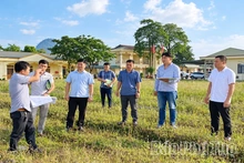 Xã Ngọc Sơn làm sạch dữ liệu đất đai
