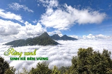 Rừng xanh, sinh kế bền vững