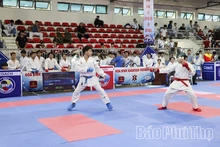 Gần 400 vận động viên tranh tài Giải vô địch các câu lạc bộ Karate tỉnh năm 2026