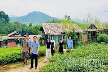 Minh Đài - Tinh gọn bộ máy gắn với yêu cầu phát triển mới