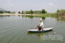 “Khai mỏ” đồng chiêm trũng