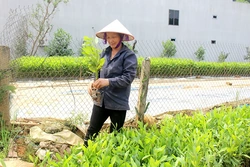 Phát huy hiệu quả nguồn vốn vay ưu đãi