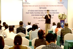 Tập huấn kỹ năng kinh doanh trên nền tảng số cho doanh nghiệp, hợp tác xã