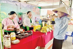 Liên minh Hợp tác xã tỉnh đồng hành cùng hợp tác xã phát triển