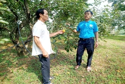 Xây dựng thương hiệu cho nông sản