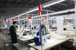 Phê duyệt 10 dự án hỗ trợ đổi mới công nghệ năm 2025