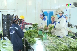 Nghị quyết 41 động lực mới cho nông nghiệp bền vững