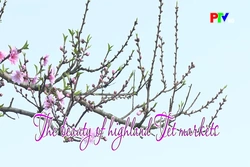 The beauty of highland Tet markets