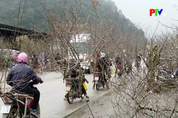 Sắc xuân từ đại ngàn