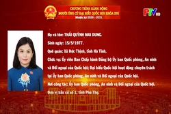 Chương trình hành động ứng cử Đại biểu Quốc hội khóa XVI của đồng chí Thái Quỳnh Mai Dung