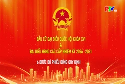 6 bước bỏ phiếu đúng quy định bầu cử Đại biểu Quốc hội khóa XVI & đại biểu HĐND các cấp nhiệm kỳ 2026 - 2031