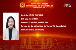 Chương trình hành động ứng cử Đại biểu Quốc hội khóa XVI của đồng chí Lưu Thị Thúy Hằng