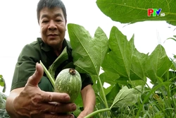 Những người lính tiên phong trên mặt trận kinh tế