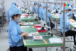 Động lực để phát triển kinh tế tư nhân