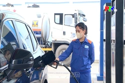 Tăng cường giám sát kinh doanh mặt hàng xăng E10