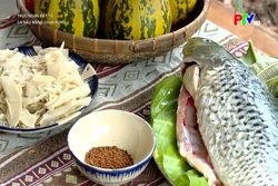 Thức ngon Đất Tổ - Cá nấu măng chua rừng