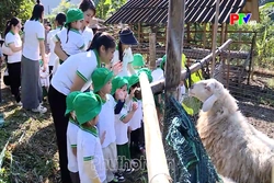 Phu Tho News on July 3, 2026