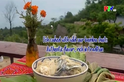 Fish cooked with wild sour bamboo shoots – Authentic flavors, rich in tradition