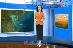 Dự báo thời tiết tỉnh Phú Thọ ngày 08/10/2026